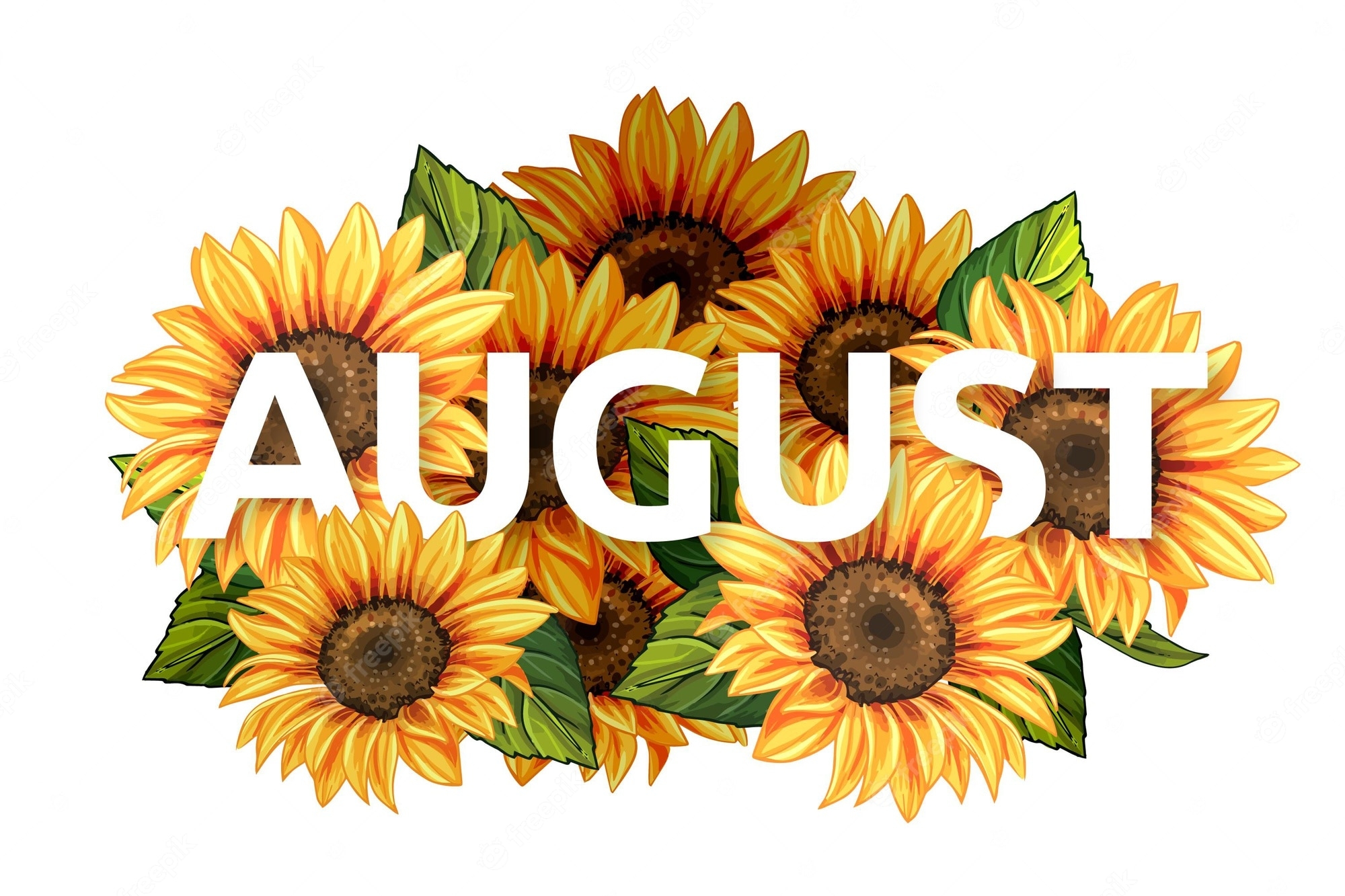 Bing Free Clip Art August At Pamala Steven Blog