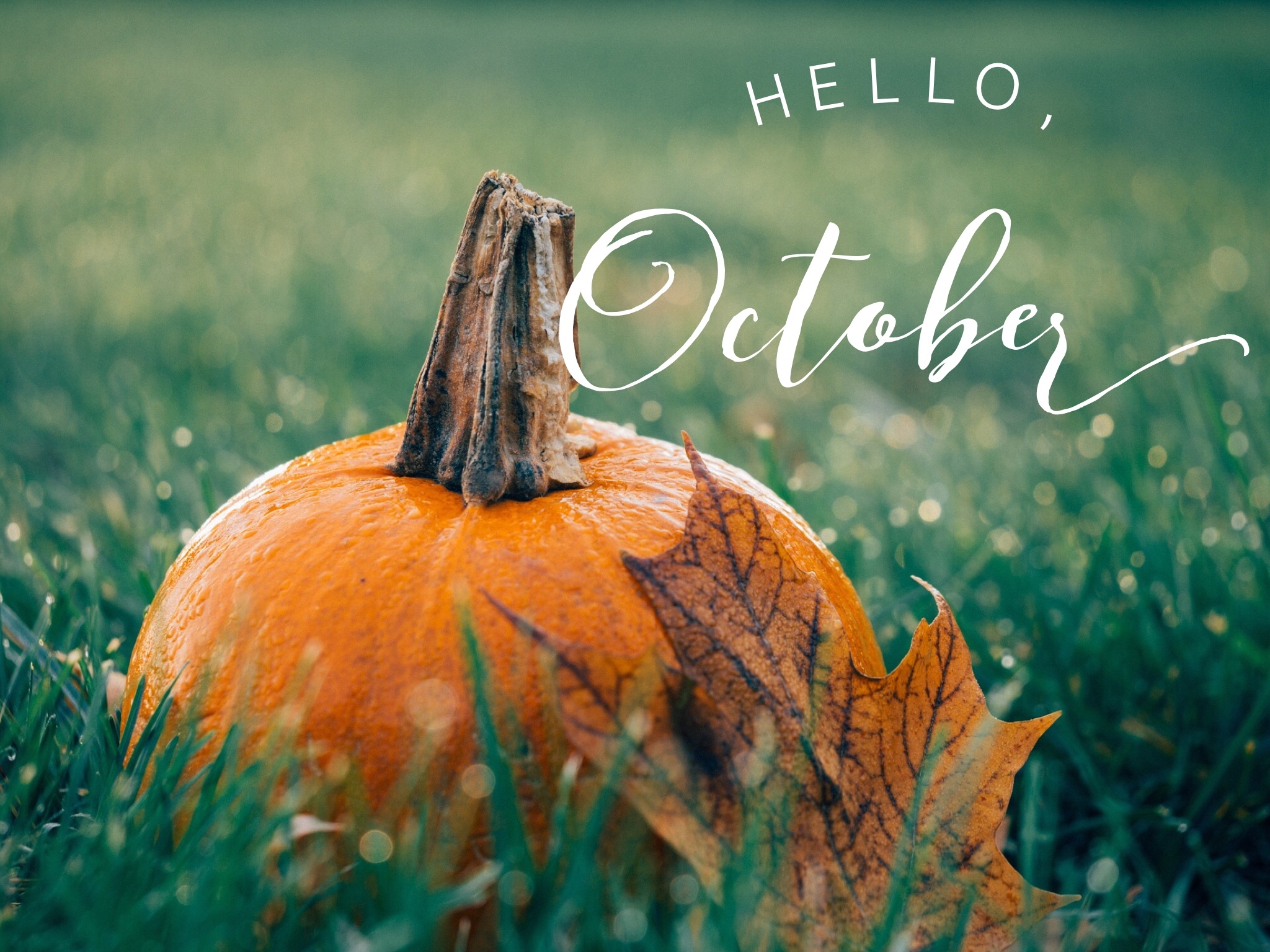 Hello October