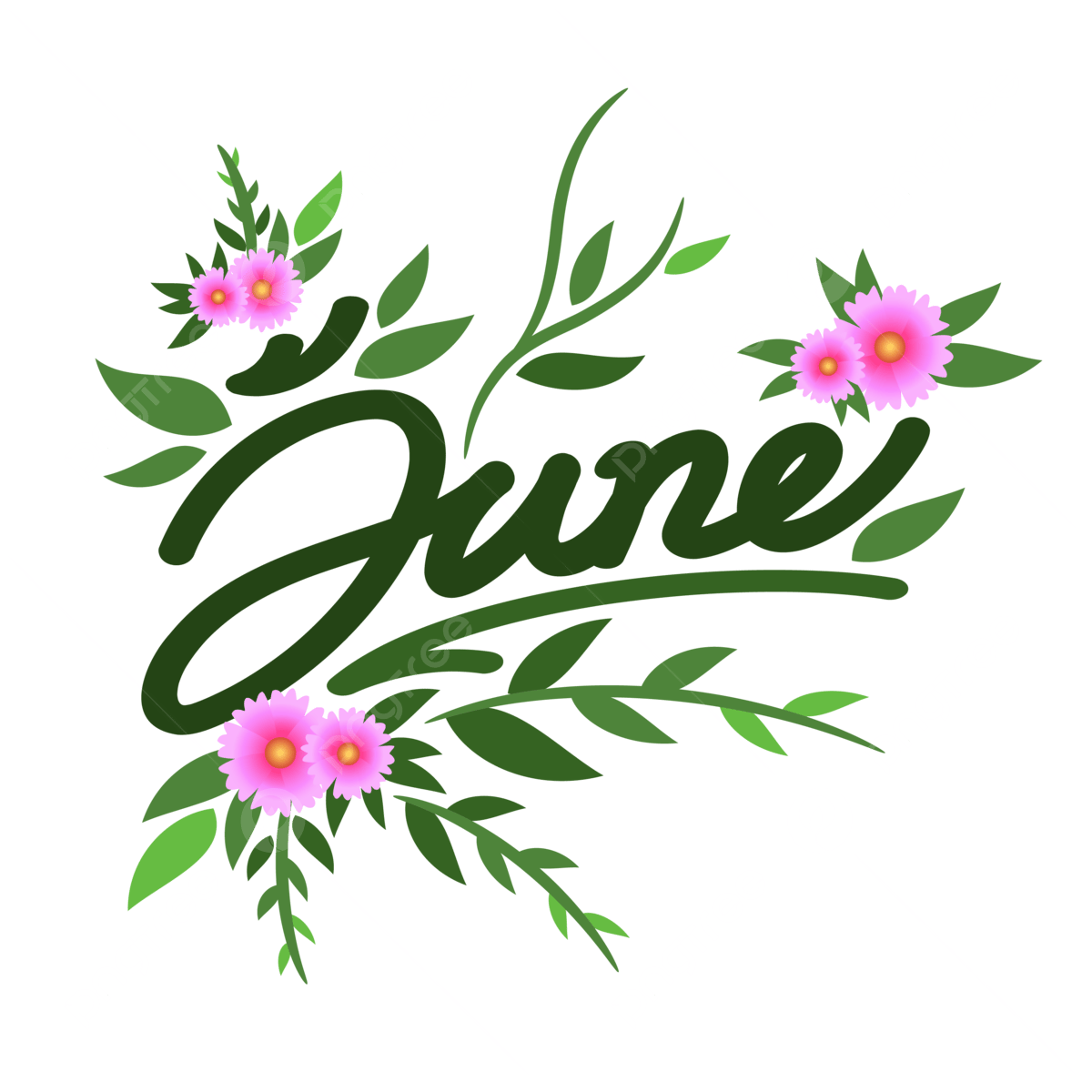 June Month Vector Art PNG June Month Of The Year Text Hand Lettering