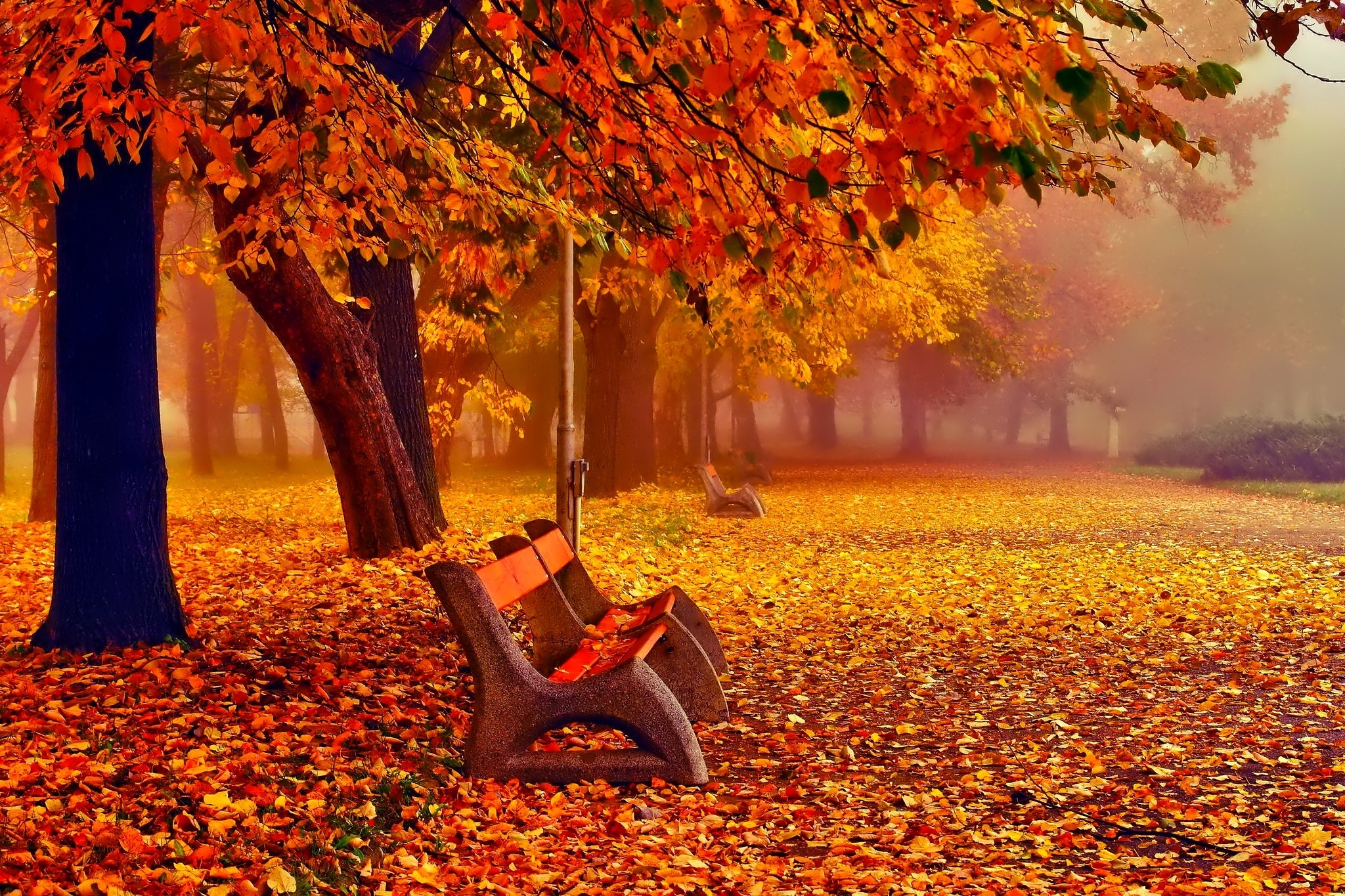 November Wallpaper Download Free Awesome HD Backgrounds For Desktop 