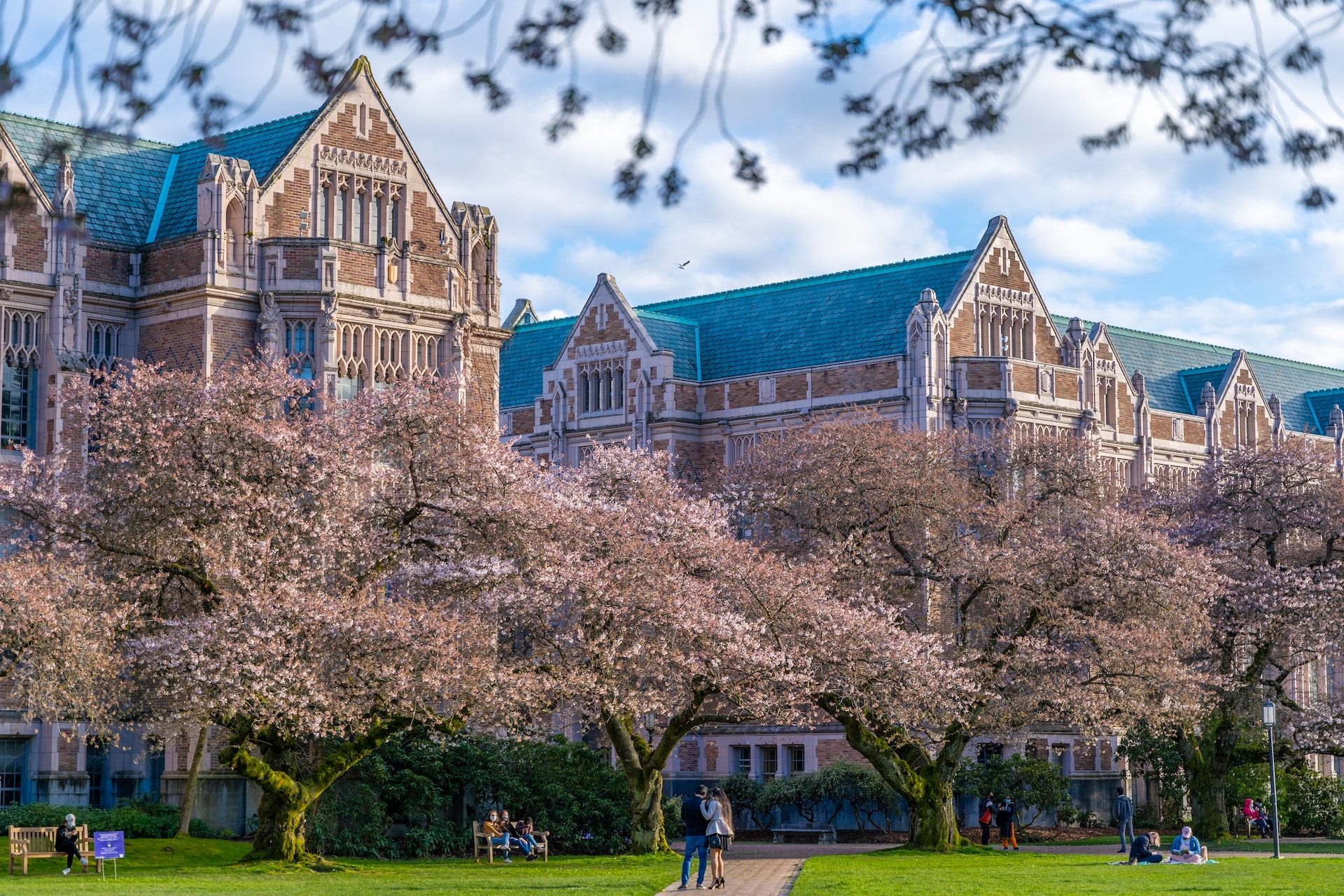 The 6 Largest Universities In The U S Classrooms