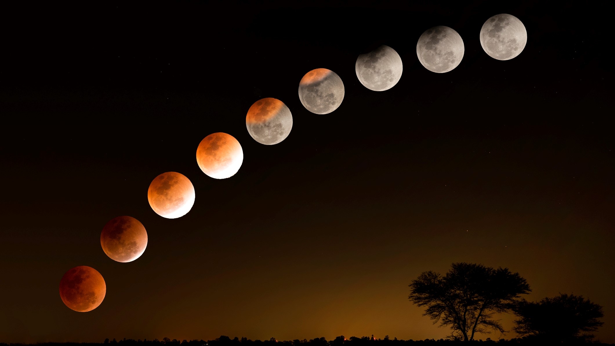 What Is A Lunar Eclipse Blood Moon At Harold Mcswain Blog